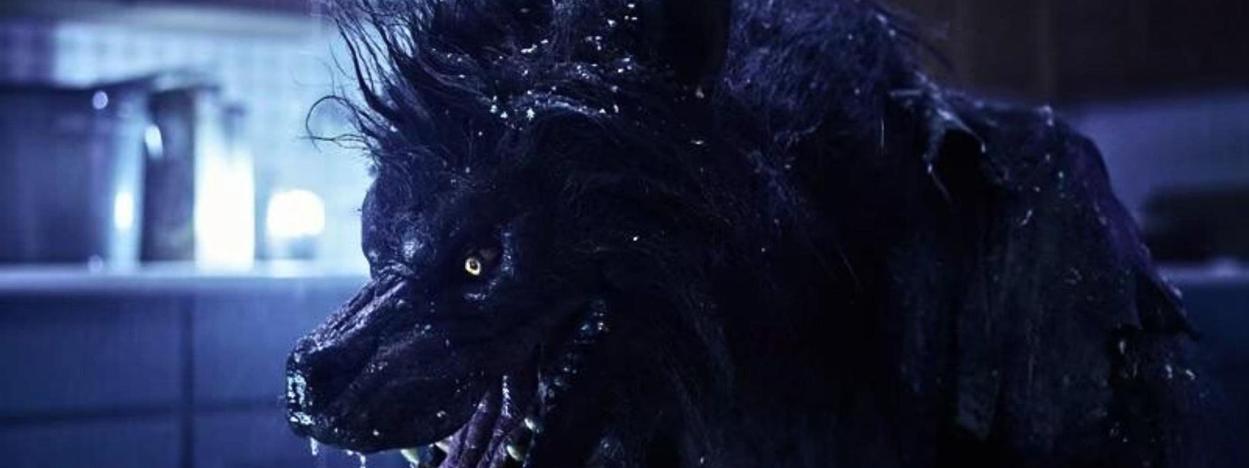 غلاف فيلم Werewolves 2024 مترجم