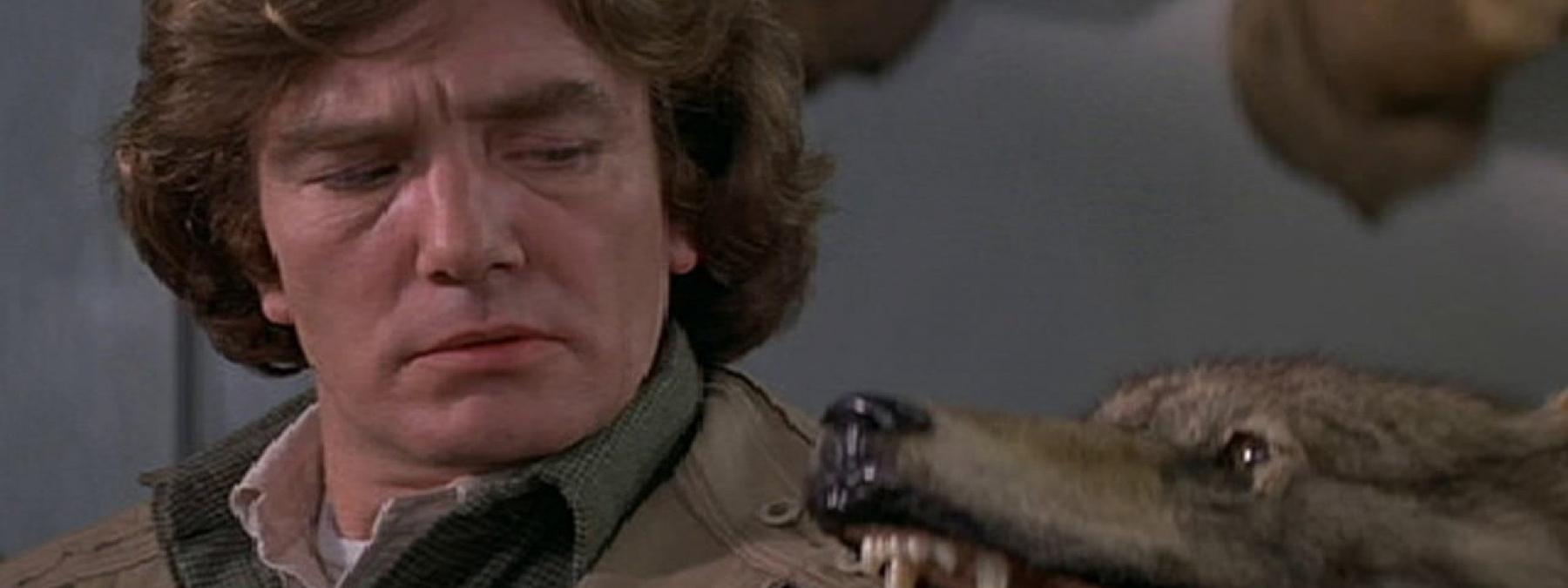 غلاف فيلم Wolfen 1981 مترجم